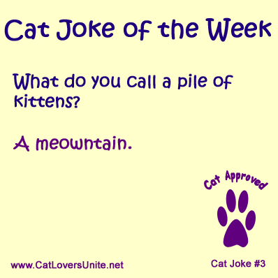 Cat Joke #3