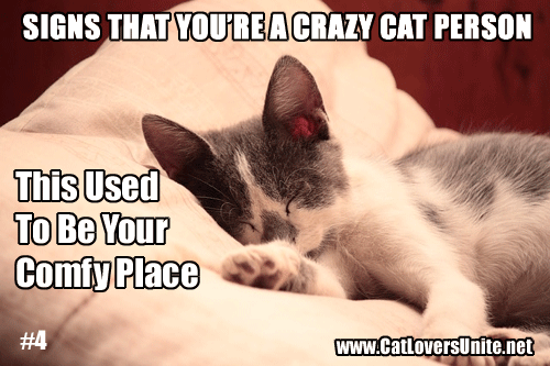Crazy Cat Person - Sign #4