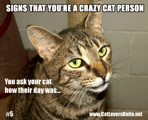 Crazy Cat Person - Sign #5