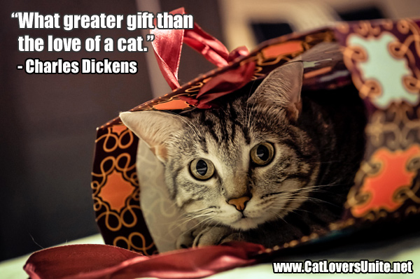 Cat Quote on a picture of a cat in a gift bag