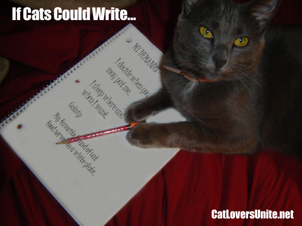 PIcutre of cat with written demands