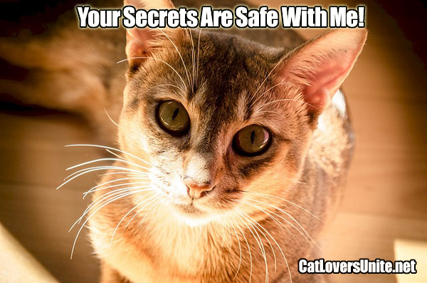 Cat a keeper of secrets