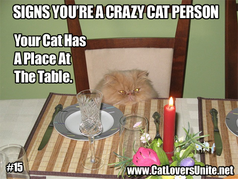 Crazy Cat Person Meme #15. More at catloversunite.net