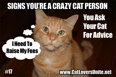 You may be a Crazy Cat Person #17 - more at https://catloversunite.net