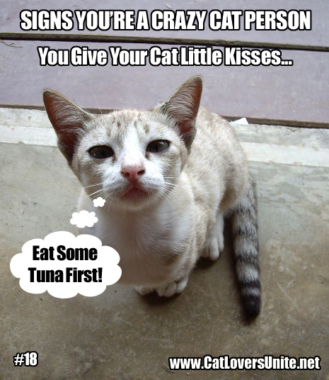 Crazy Cat Person meme #18 - for more: CatLoversUnite.net