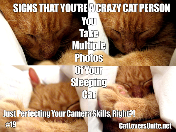 Crazy Cat Person Meme #19 - More at: CatLoversUnite.net