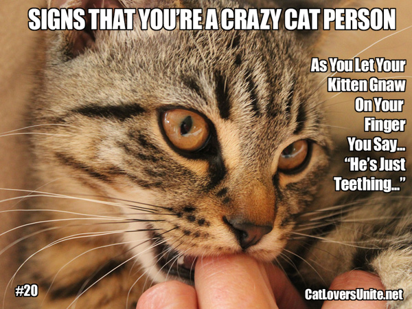A meme about crazy cat people. For more: CatLoversUnite.net
