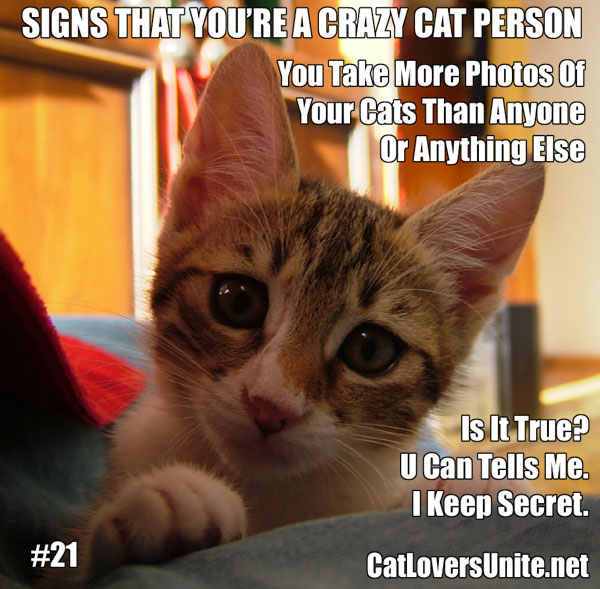 Crazy Cat Person meme #21. For more: CatLoversUnite.net