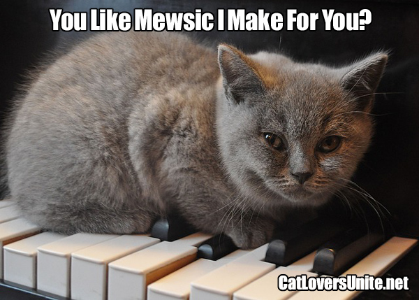 Cute photo of a cat on piano keys