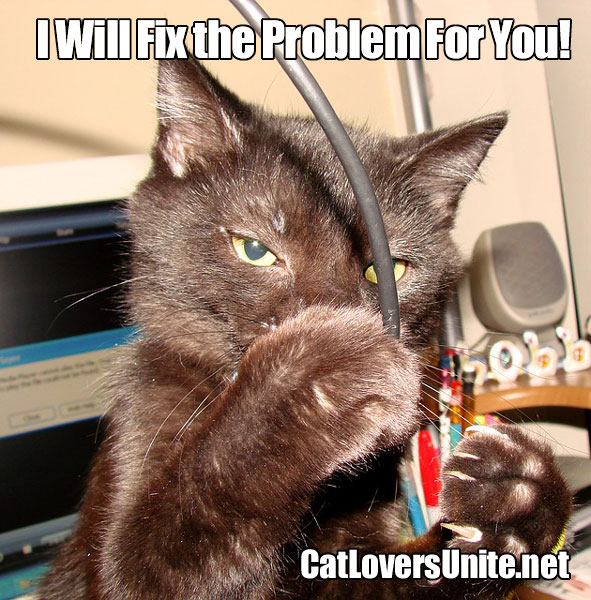 Photo of a cat with a computer cable