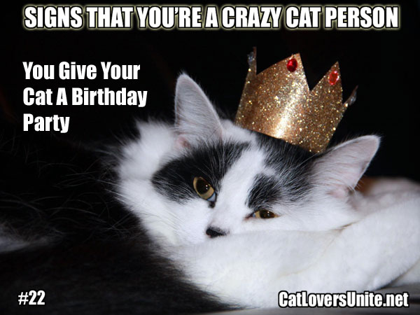 Crazy Cat Person Meme #22 - For more visit: CatLoversUnite.net