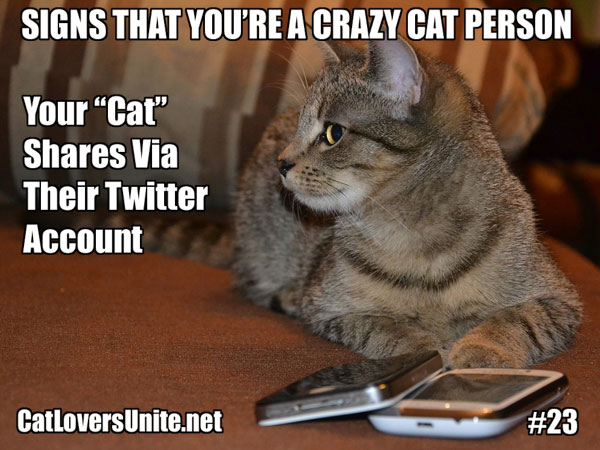 Crazy Cat Person Meme #23. For more visit: CatLoversUnite.net