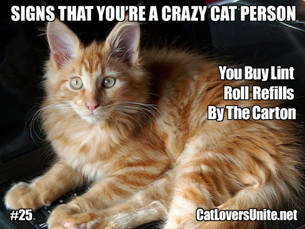 Crazy Cat Person Meme #25. More at: CrazyCatPerson.net