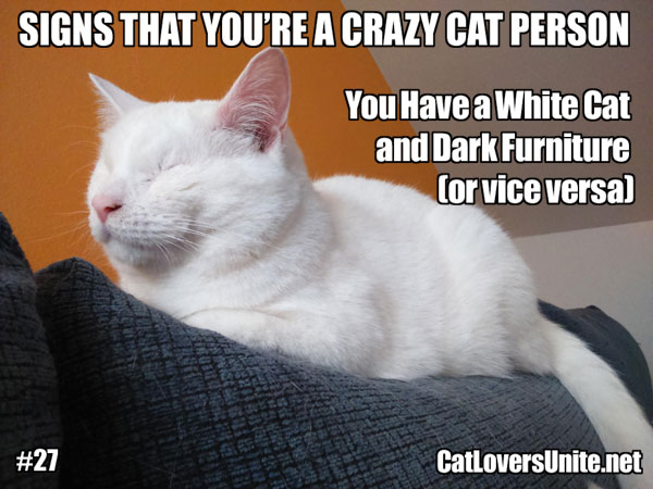 A meme about Crazy Cat People. For more visit: CatLoversUnite.net