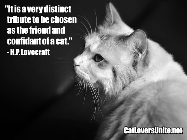 Cat Quote by H.P. Lovecraft