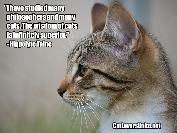 Taine quote about philosophers vs cats