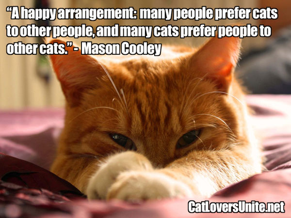 Cat Quote by Mason Cooley