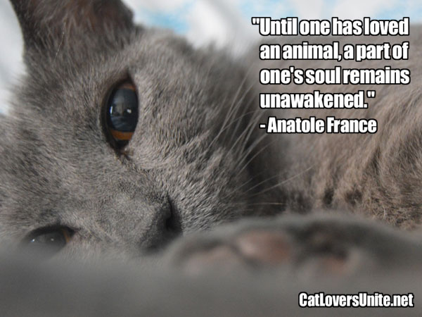 Anatole France Pet Quote. More at: CatLoversUnite.net