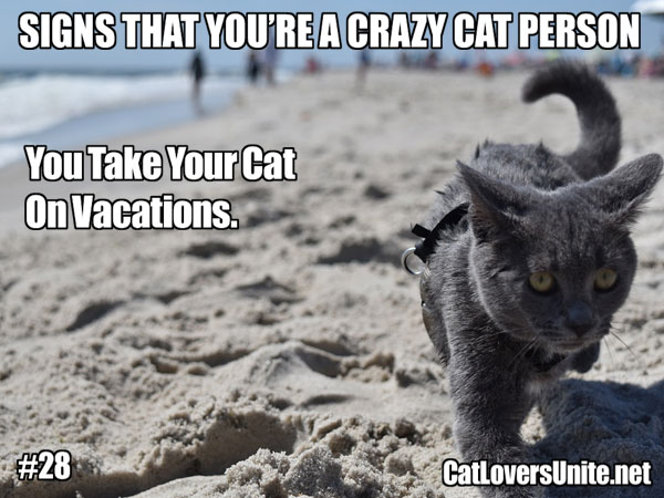 Crazy Cat Person meme #28. For more: CatLoversUnite.net