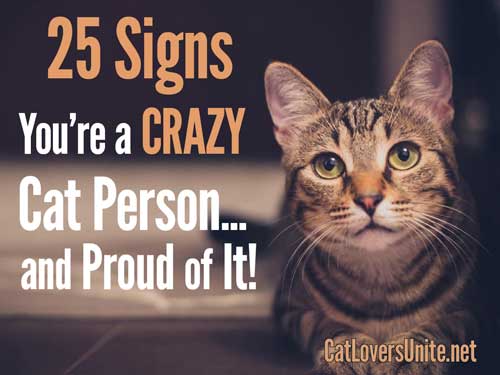 Cover of 25 Signs You're a Crazy Cat Person ebook